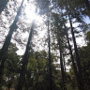 Meet your Posher, Isabel